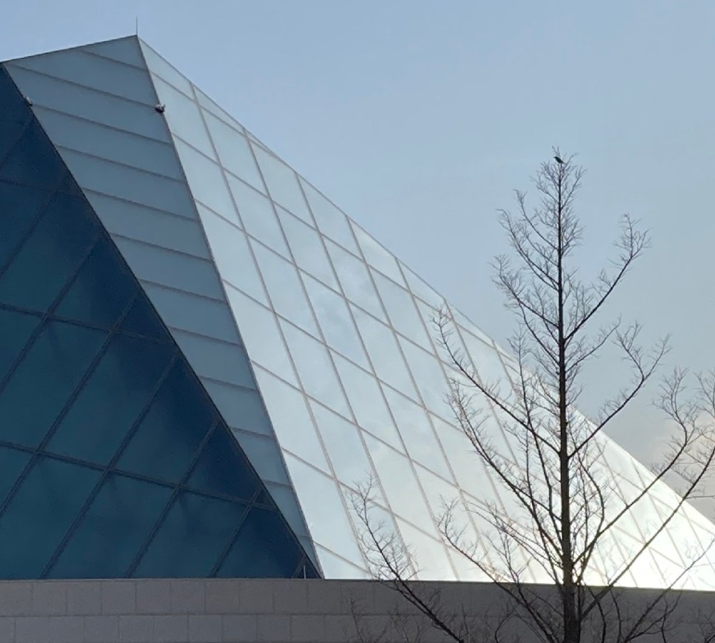 Bird on tree at Aga Khan Park and Ismaili Jamatkhana Simerg and Simergphotos Malik Merchant