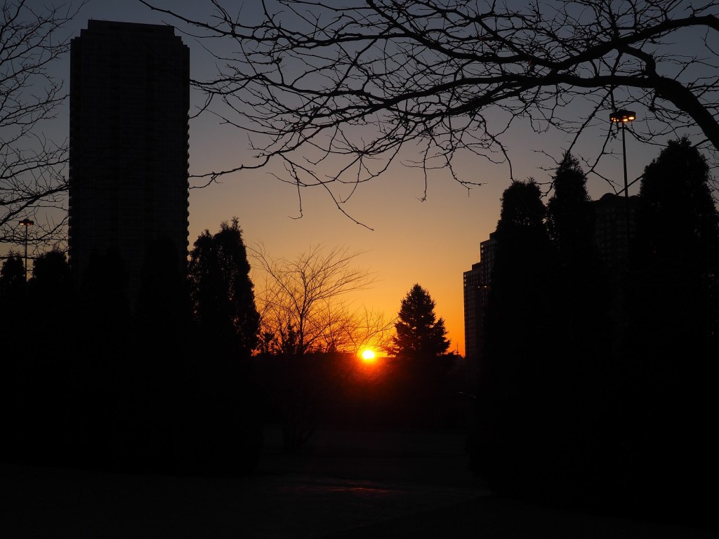 Aga Khan Park Navroz 2021. Iranian New Year, Simergphotos, Malik Merchant, Aga Khan Message Talika