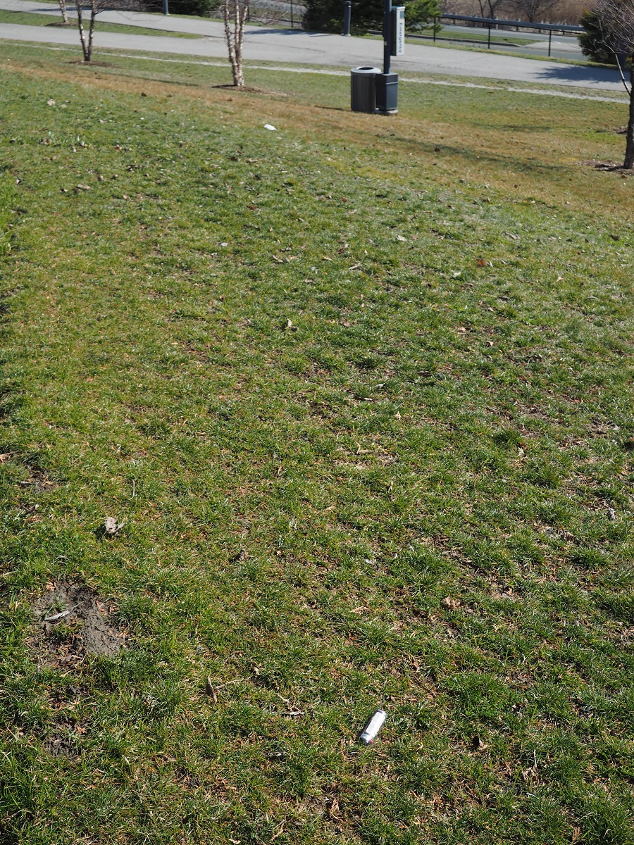 Garbage at Aga Khan Park, simergphotos.com and simerg.com