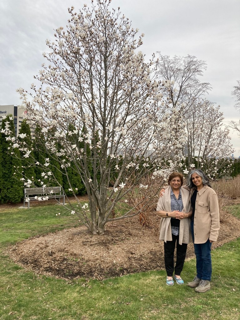 Tree 49 Aga Khan Park spring 2021 Simergphotos