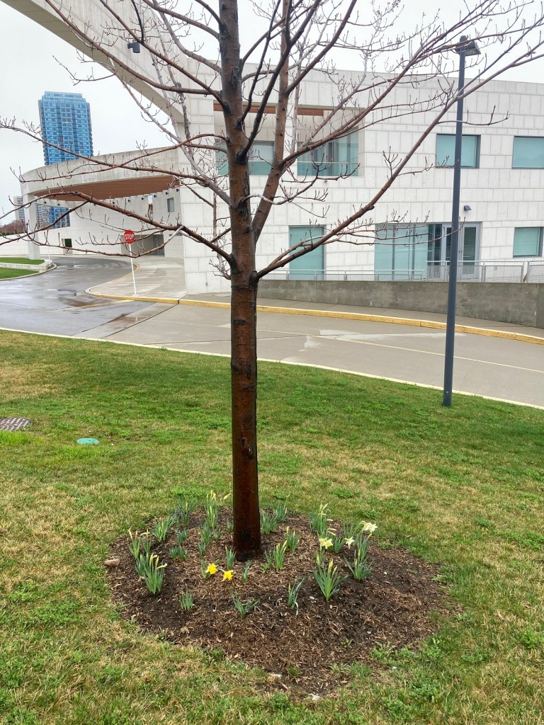 Front entrance Ismaili Centre Toronto, 49 Wynford Drive, Simergphotos, malik merchant photo of the day