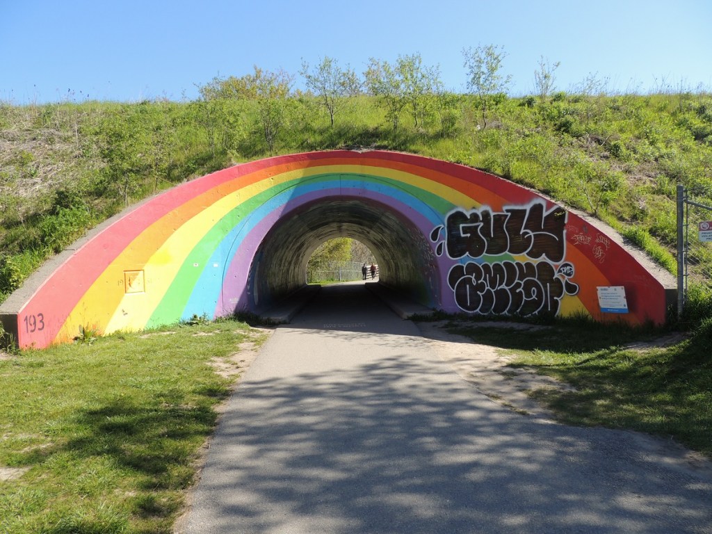 East Don Trail Charles Sauriol Conservation Area Malik Merchant Simerg Photos Simergphotos Toronto's Parks Forests Trails and Gardens