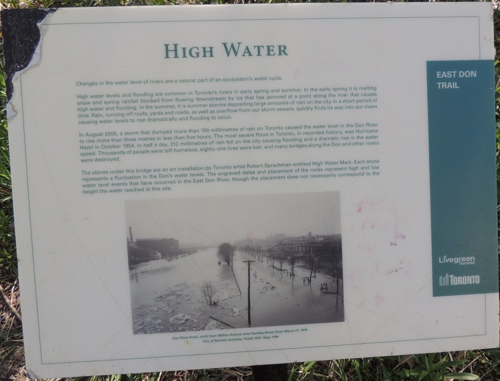 East Don Trail Charles Sauriol Conservation Area Malik Merchant Simerg Photos Simergphotos Toronto's Parks Forests Trails and Gardens