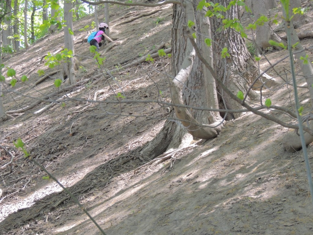 East Don Trail Charles Sauriol Conservation Area Malik Merchant Simerg Photos Simergphotos Toronto's Parks Forests Trails and Gardens