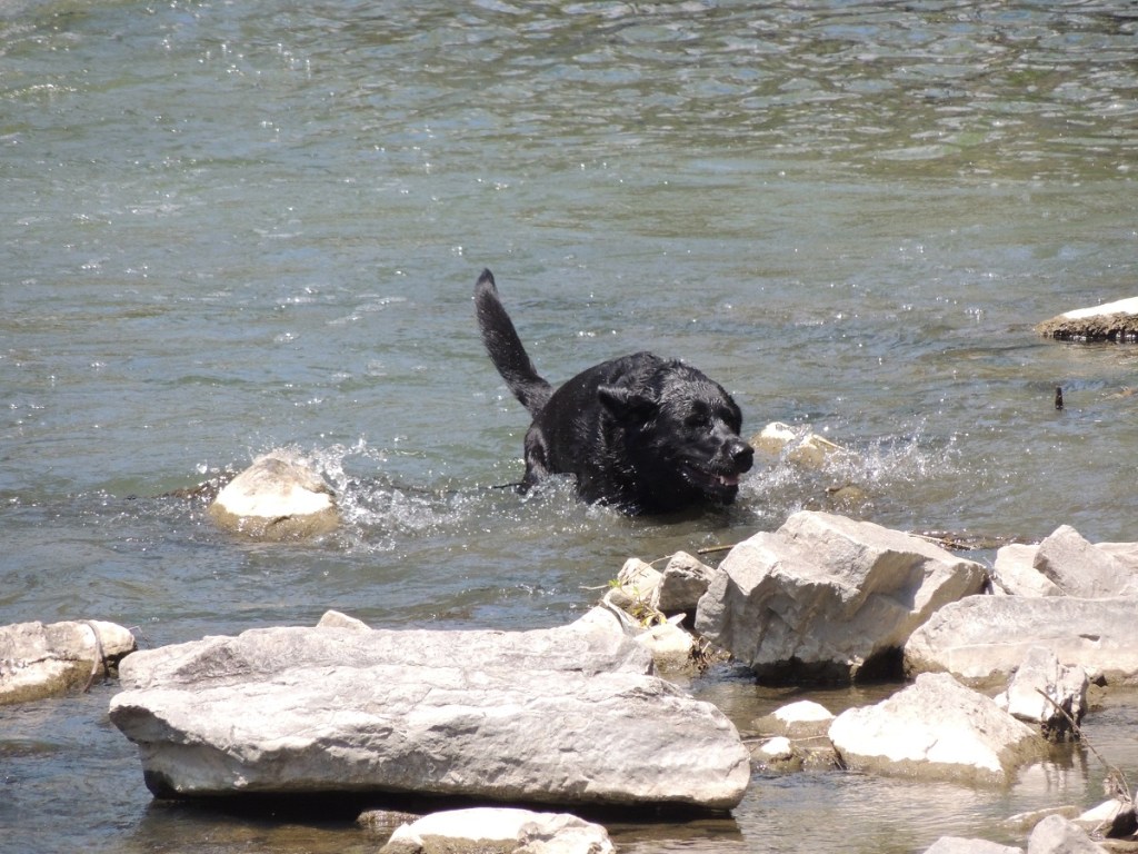 East Don Trail Charles Sauriol Conservation Area Malik Merchant Simerg Photos Simergphotos Toronto's Parks Forests Trails and Gardens