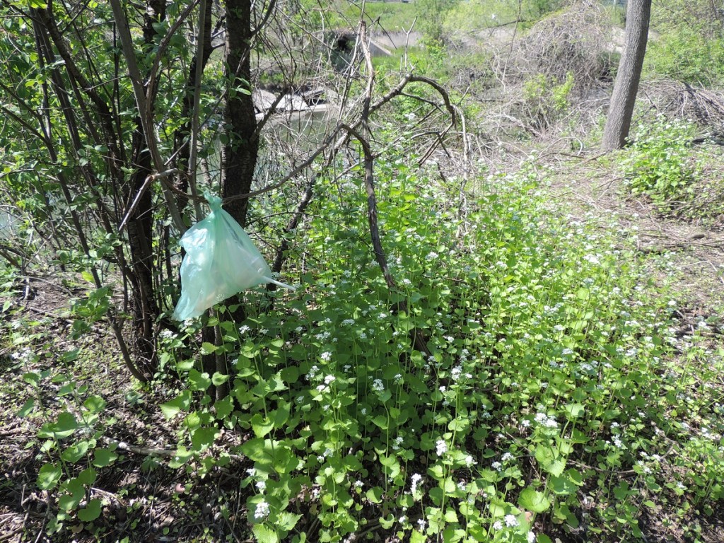 Plastic garbage East Don Trail Charles Sauriol Conservation Area Malik Merchant Simerg Photos Simergphotos Toronto's Parks Forests Trails and Gardens