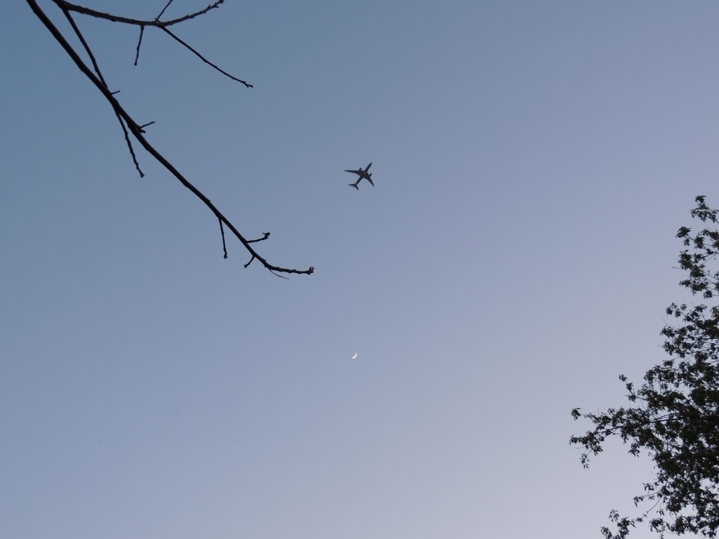 Crescent Moon East Don Trail Charles Sauriol Conservation Area Malik Merchant Simerg Photos Simergphotos Toronto's Parks Forests Trails and Gardens