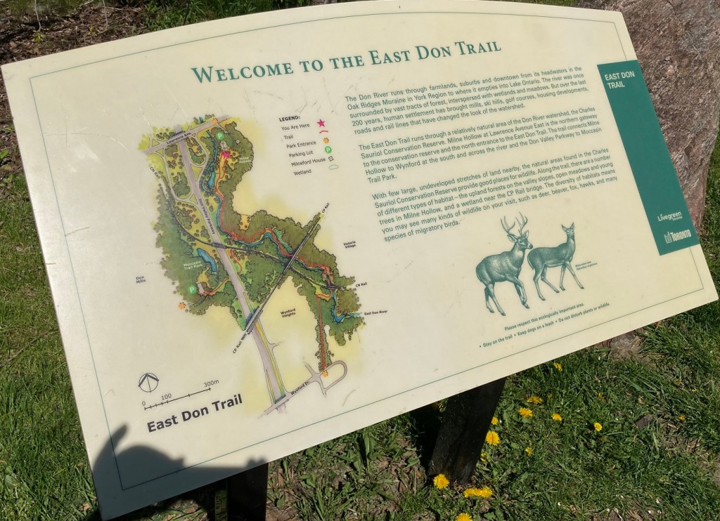 East Don Trail Charles Sauriol Conservation Area Malik Merchant Simerg Photos Simergphotos Toronto's Parks Forests Trails and Gardens