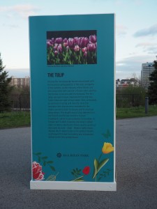 Tulip panel at the Aga Khan Park.