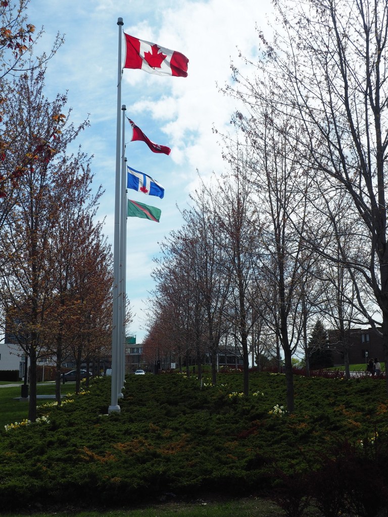The Flag of the Ismailis at Aga Khan Park