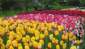Sculptor Joseph-Emile Brunet’s statue of Col. By in Major Hill’s Park looking across the Rideau Canal at Parliment Hill