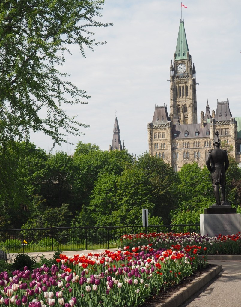 Tulips Commissioners Park Ottawa Dows Lake Major Hills Park and Rideau Falls