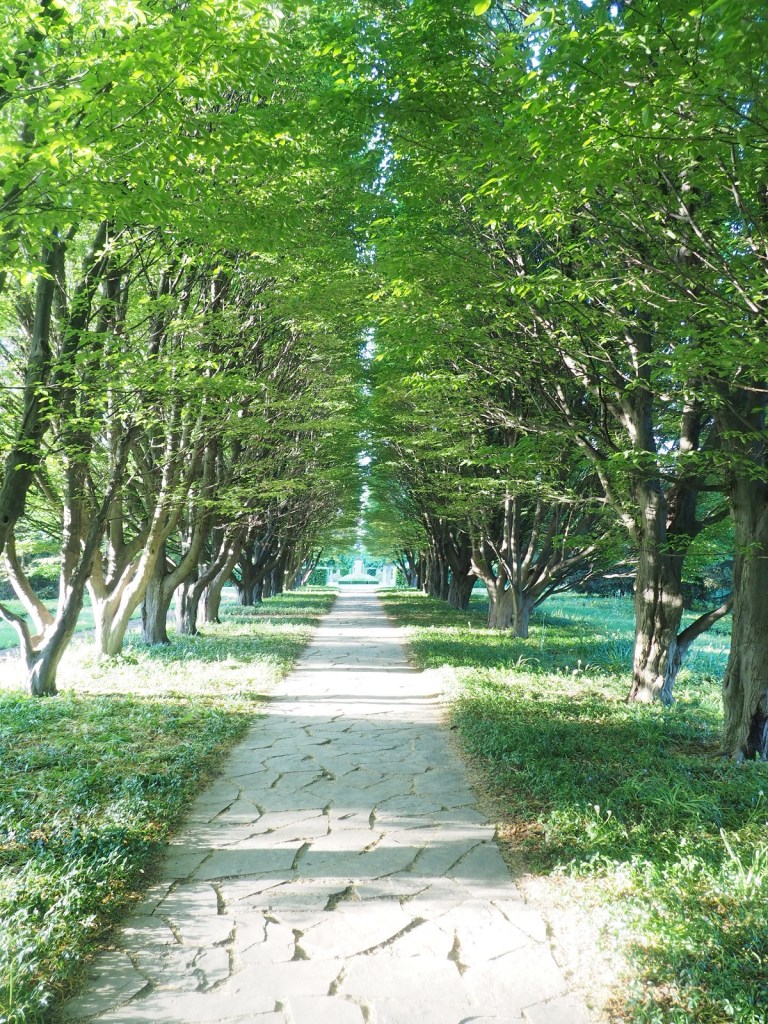 Niagara Parks Botanical Gardens Boulevard of Trees Photo of the Day