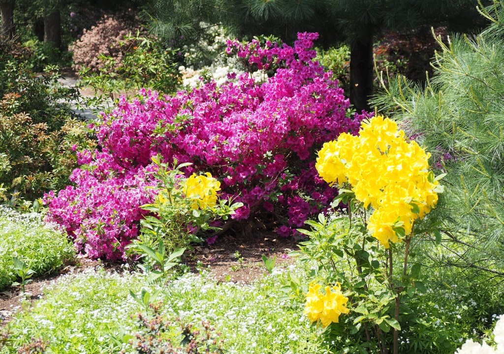 Niagara Parks Botanical Gardens Photo of the Day