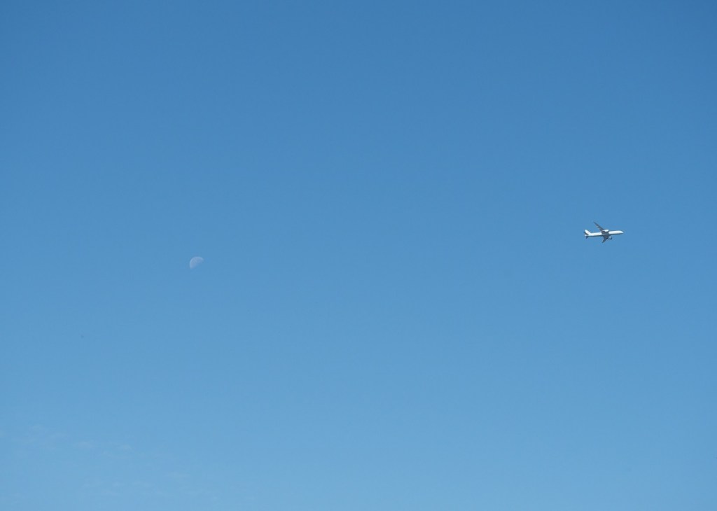 waning crescent moon over East Don Trail