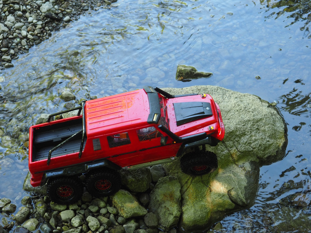 Crawler Edwards Gardens, Simergphotos, Photo of the Day
