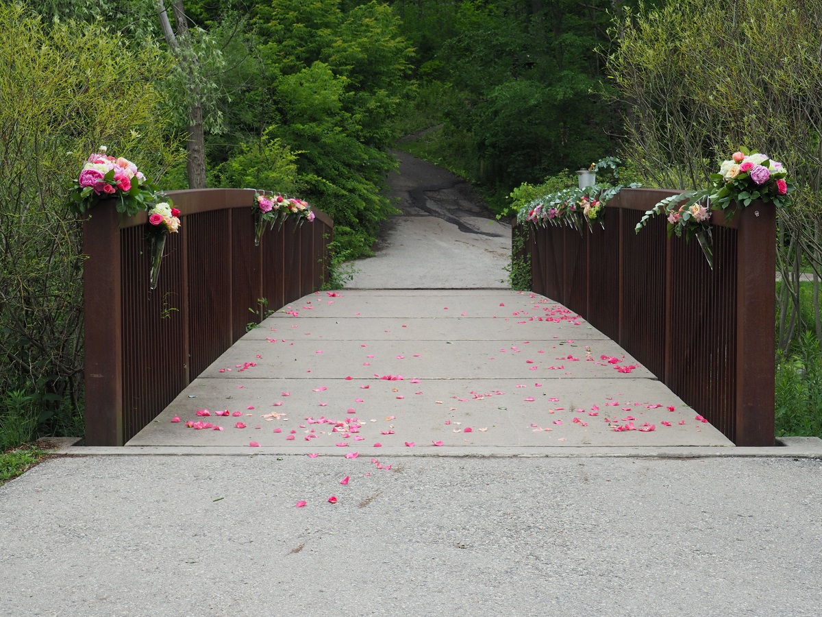 Proposal at edwards gardens