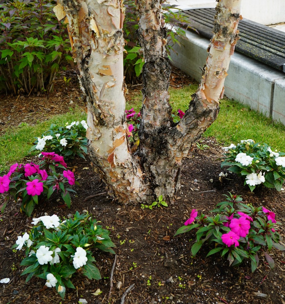 Aga Khan Park Photo: © Nurin Merchant/Simergphotos.