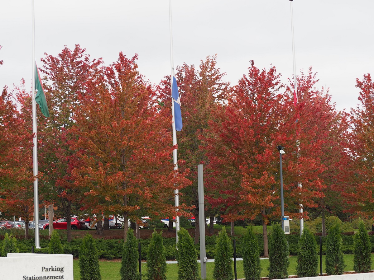 Aga Khan Park Autumn trees malik merchant simergphotos