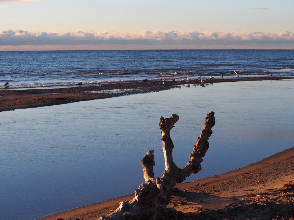 The sea, Lake Ontario, the sun, the moon, the woodpecker, the Ismaili Flag, The Qibla Simerg photos Malik Merchant