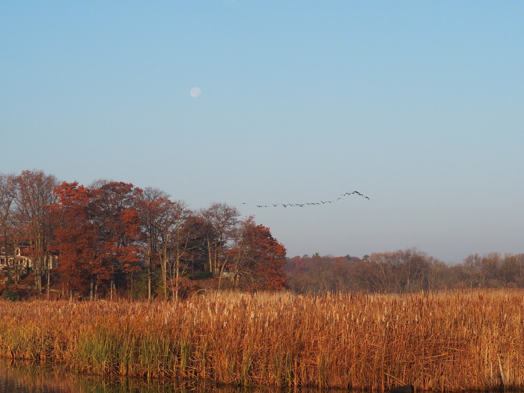 The sea, Lake Ontario, the sun, the moon, the woodpecker, the Ismaili Flag, The Qibla Simerg photos Malik Merchant