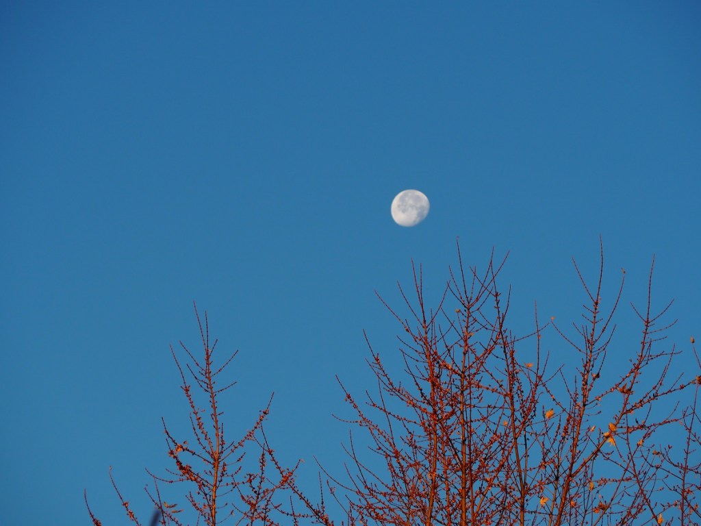The sea, Lake Ontario, the sun, the moon, the woodpecker, the Ismaili Flag, The Qibla Simerg photos Malik Merchant