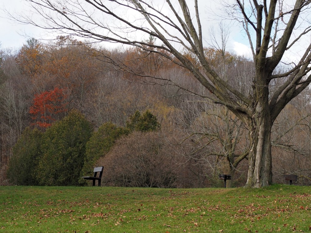 The sea, Lake Ontario, the sun, the moon, the woodpecker, the Ismaili Flag, The Qibla Simerg photos Malik Merchant
