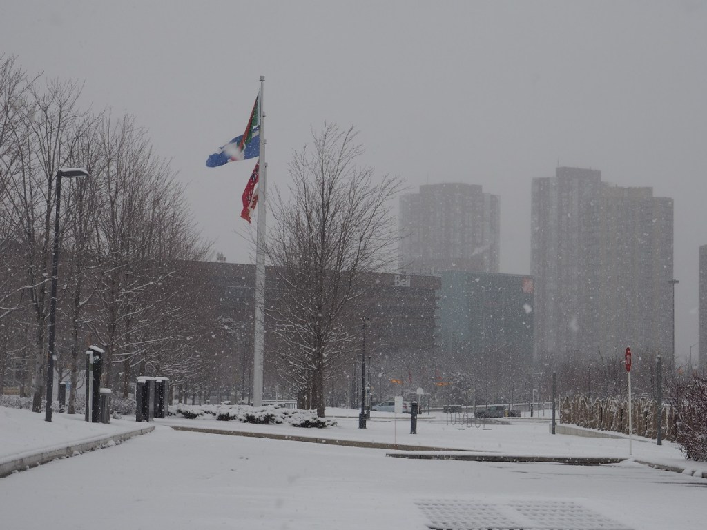 First snow fall Toronto 2021/2, Aga Khan Park, simerg photos Malik Merchant