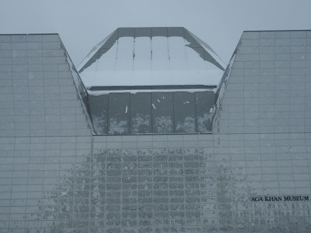 First snow fall Toronto 2021/2, Aga Khan Park, simerg photos Malik Merchant