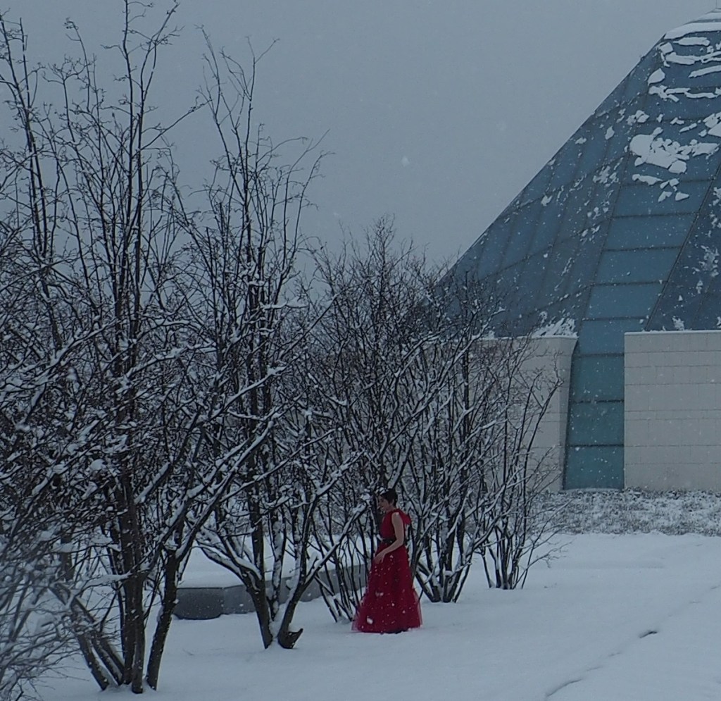 First snow fall Toronto 2021/2, Aga Khan Park, simerg photos Malik Merchant