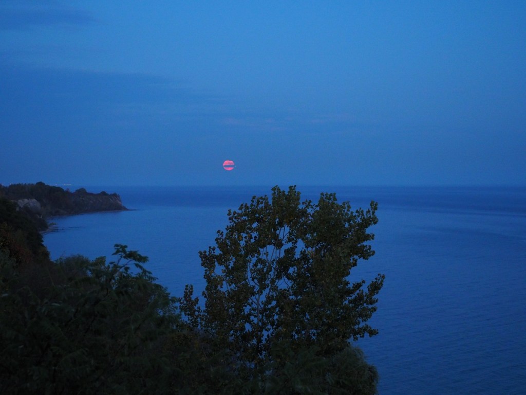 Autumn colours and nature Simergphotos Aga Khan III tribute Malik Merchant Scarborough Bluffs Full moon lake ontario