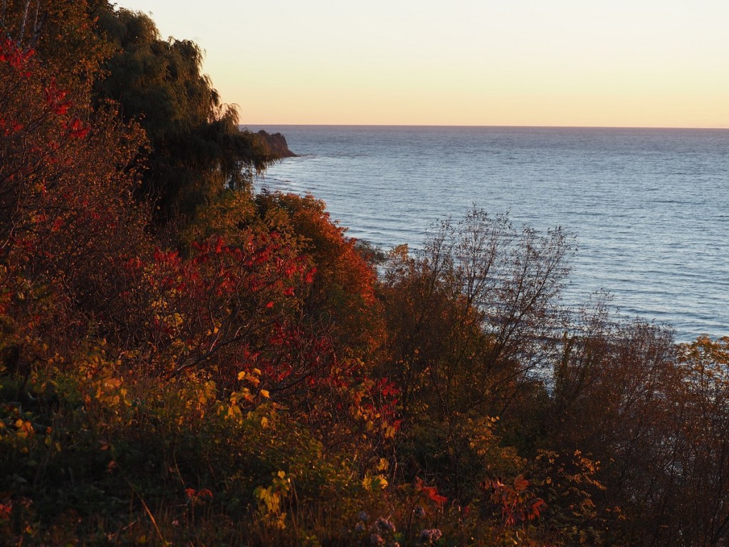 Autumn colours and nature Simergphotos Aga Khan III tribute Malik Merchant Scarborough Bluffs Sunrise