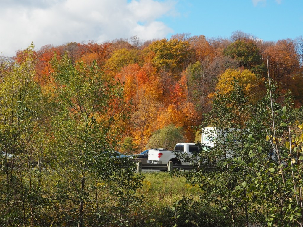 Fall colours Don Valley Parkway DVP Simergphotos Malik Merchant