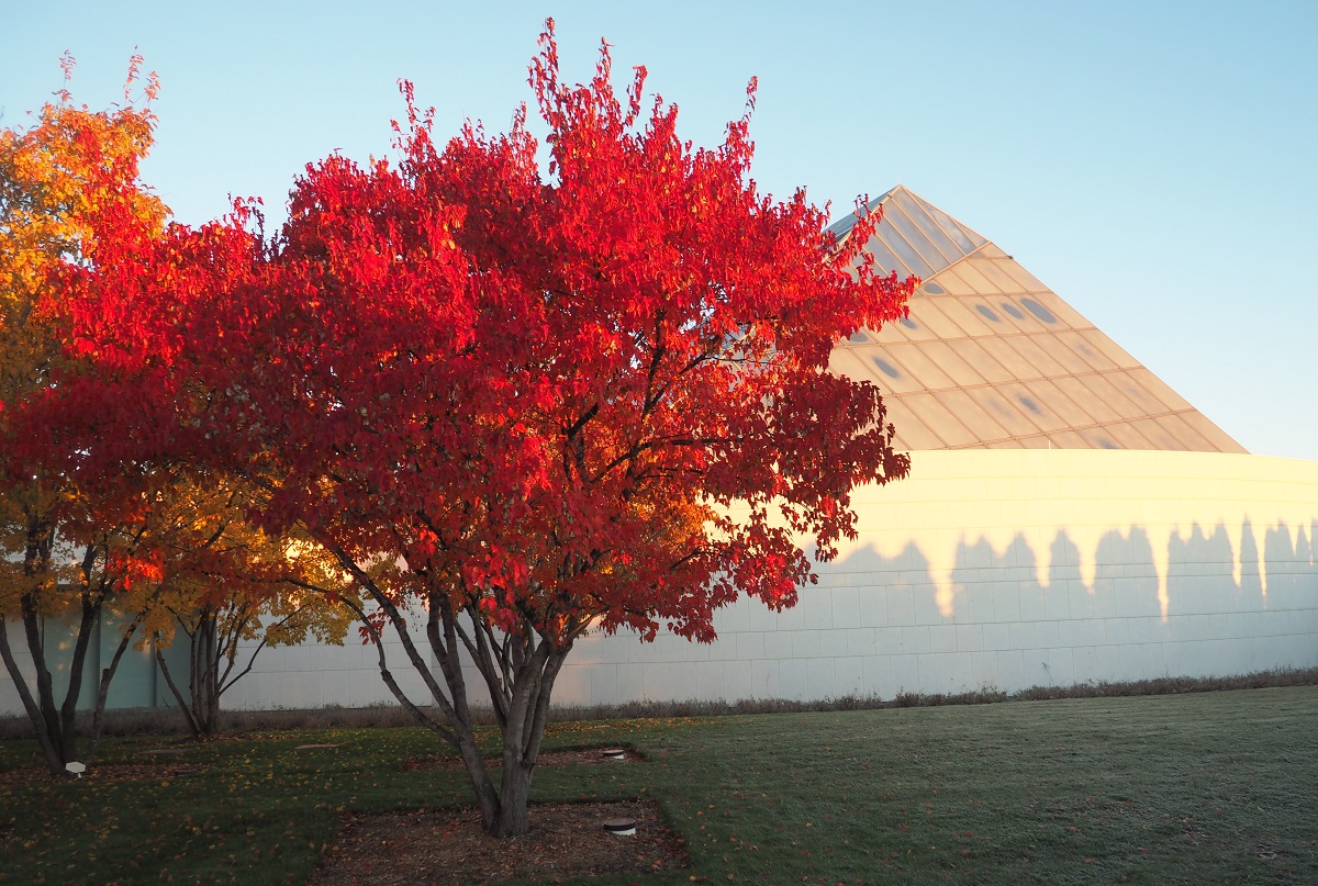 Autumn Colours, Foliage, Fall 2021, Toronto Sunrise, Foliage, Glen Abbey, Aga Khan Museum, Ismaili Centre, Aga Khan Park, Edwards, Don Trail, High Park, Etienne Brule, Wilket Creek, Guild Inn Park