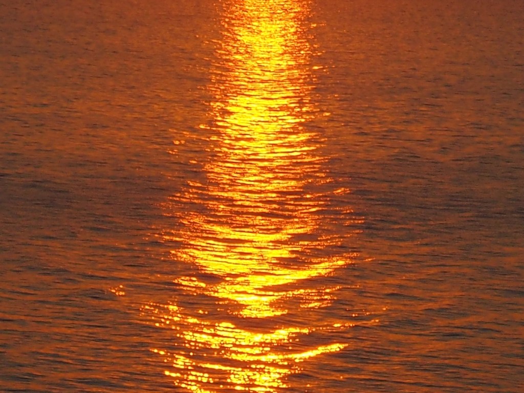 Rouge Beach, Rouge National Urban, Simerg Photos Malik Merchant