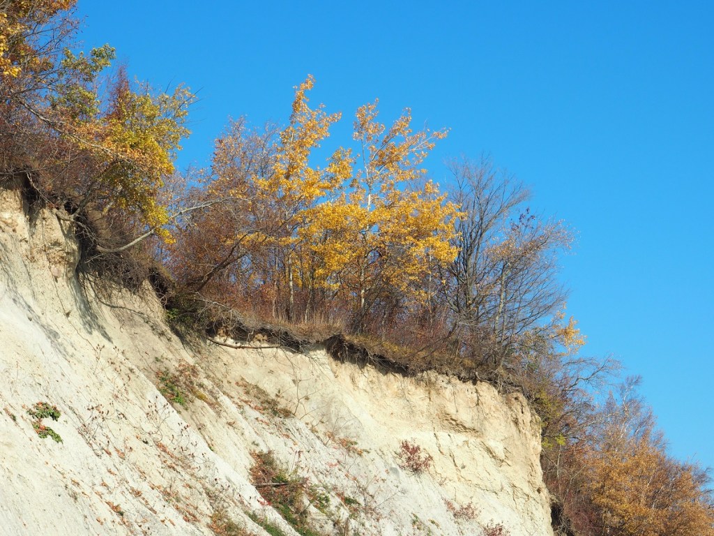 Rouge Beach, Rouge National Urban, Simerg Photos Malik Merchant