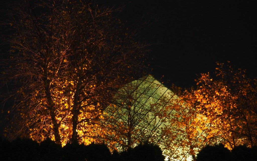 Ismaili Centre Headquaters Jamatkhana Foliage 2021 Night view Simergphotos Malik Merchant