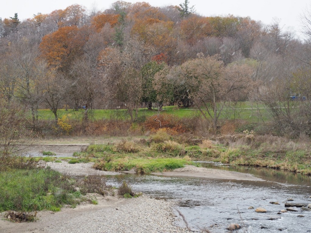 Morningside Park, Highland Creek, Salmon Run, Woodpecker, Fall Colours, Bunnie, Rabbit Simerg Photos, Malik Merchant