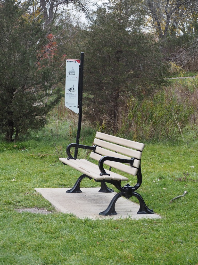 Morning side Park, Highland Creek, Salmon Run, Woodpecker, Fall Colours, Bunnie, Rabbit Simerg Photos, Malik Merchant