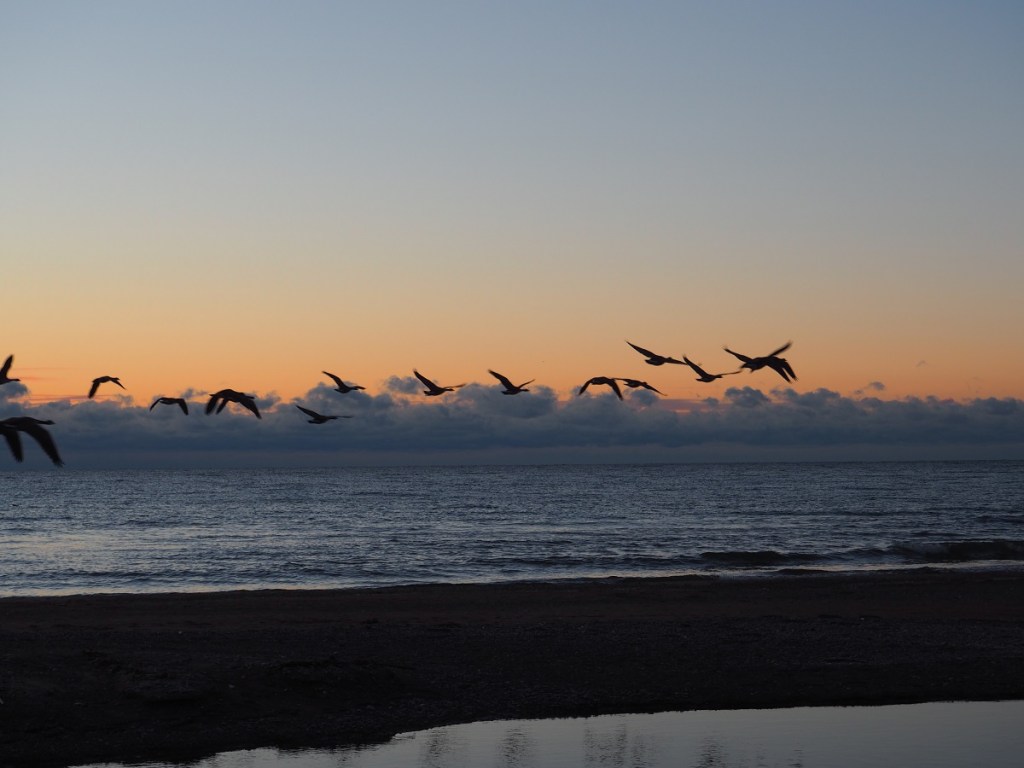 Twilight Toronto Rouge Beach, Lake Ontario Simerg Photos