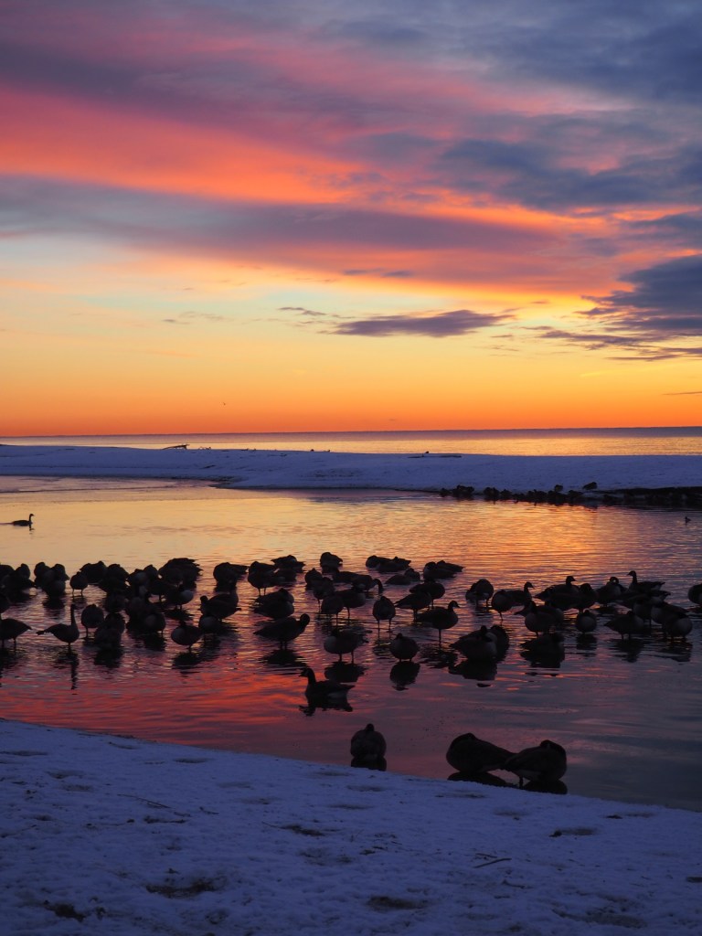 Twilight Toronto Rouge Beach, Lake Ontario Simerg Photos
