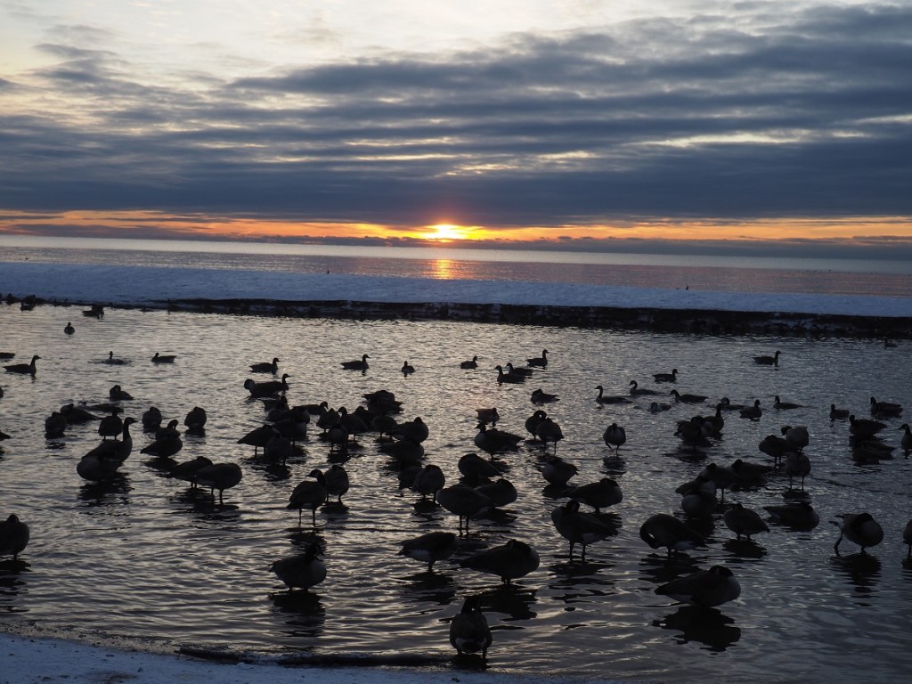 Twilight Toronto Rouge Beach, Lake Ontario Simerg Photos