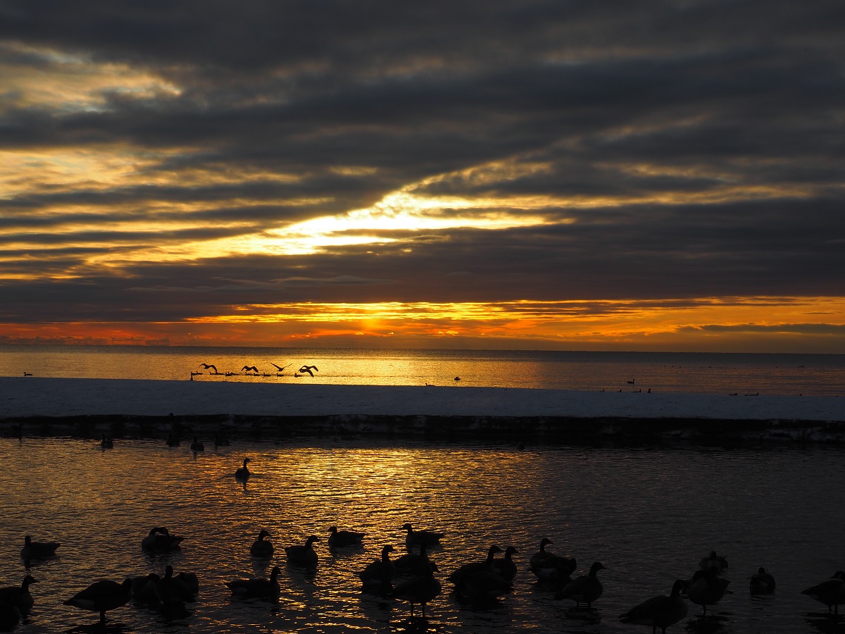 Twilight Toronto Rouge Beach, Lake Ontario Simerg Photos