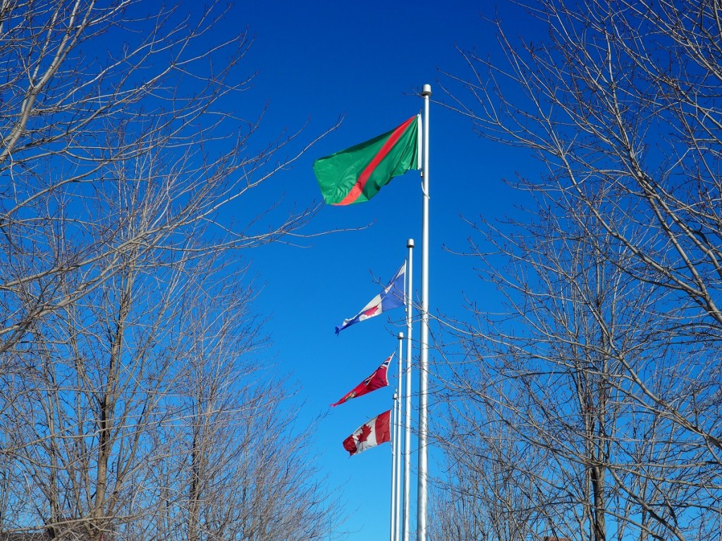 The Ismaili Flag, Aga Khan Park, Simerg Photos Malik Merchant