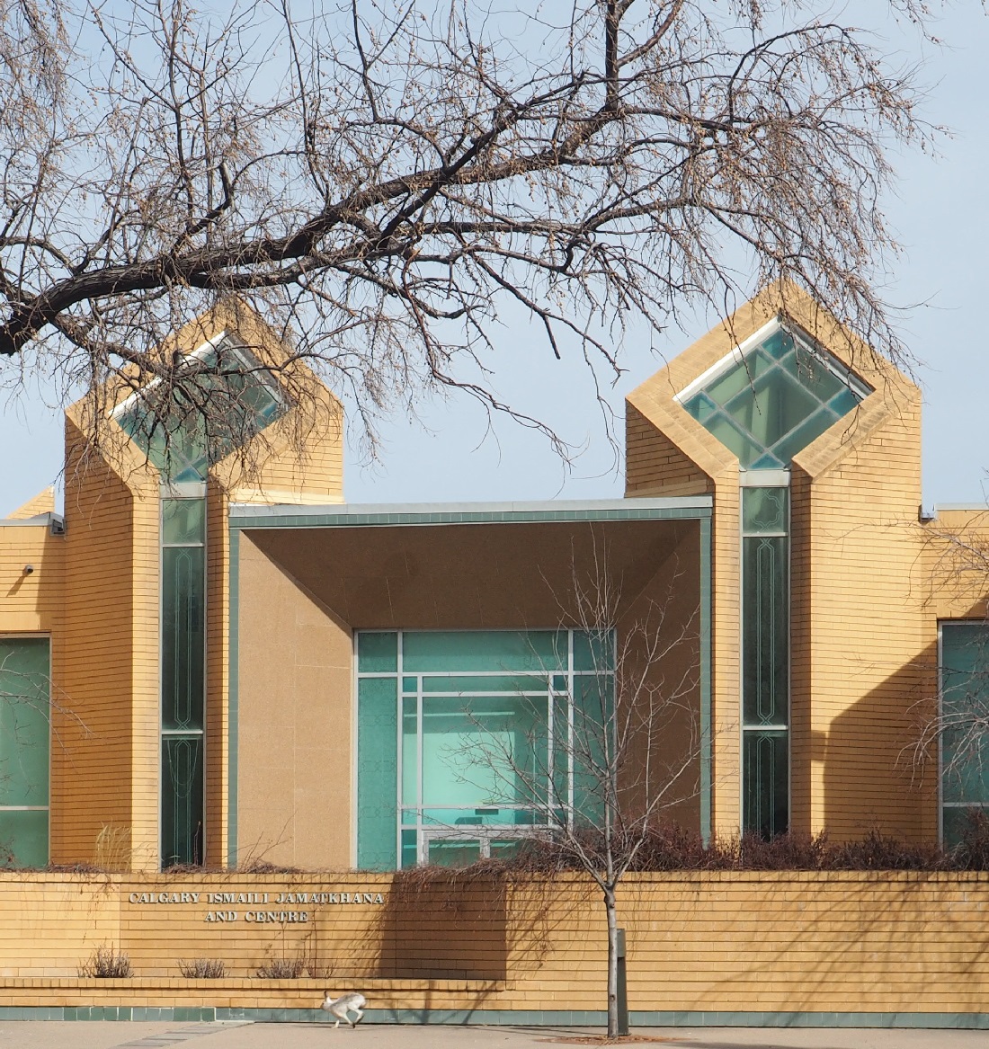 white tailed rabbit Ismaili Jamatkhana Calgary Simergphotos, Malik Merchant, Navroz post