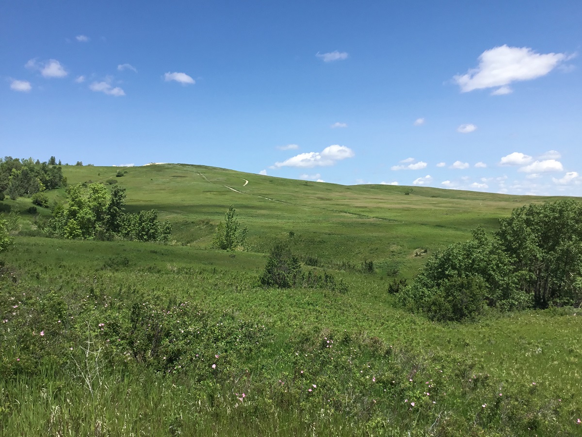 Scenes from Calgary, Nose Hill Park, Malik Merchant Simergphotos, bike trails