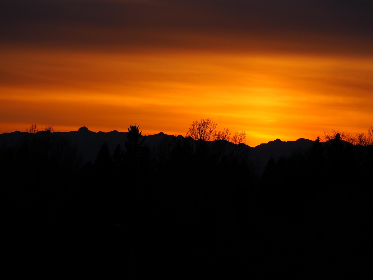 Scenes from Calgary, Malik Merchant