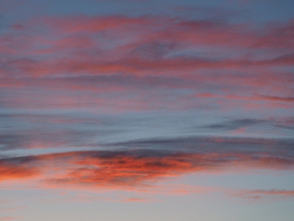 Scenes from Calgary, Simerg Photos