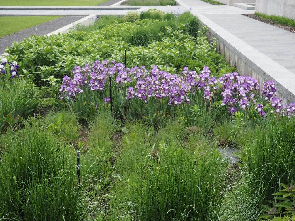 Aga Khan Garden U of A Botanical Garden Malik Merchant Simerg Photos