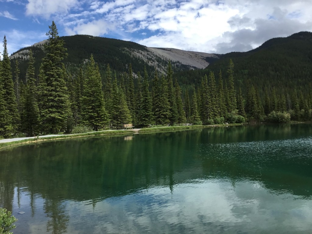 Commemorative Benches and Plaque Tributes to loved ones, Kananaski Country and Forget-me-not Pond, Malik Merchant Simerg Photos